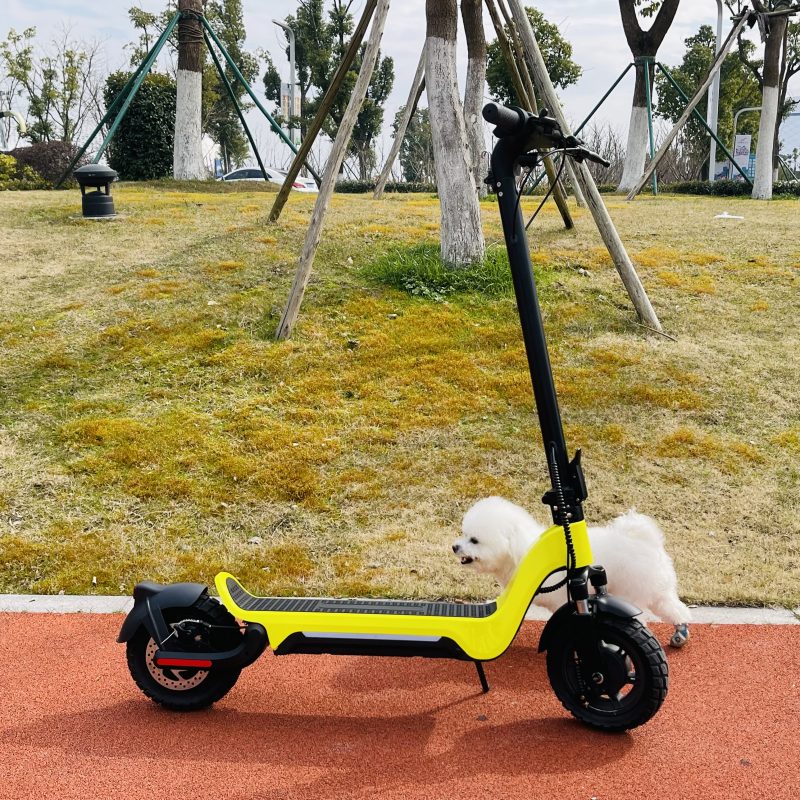 Q9 Pro Electrische Step Shoppenvooriedereen