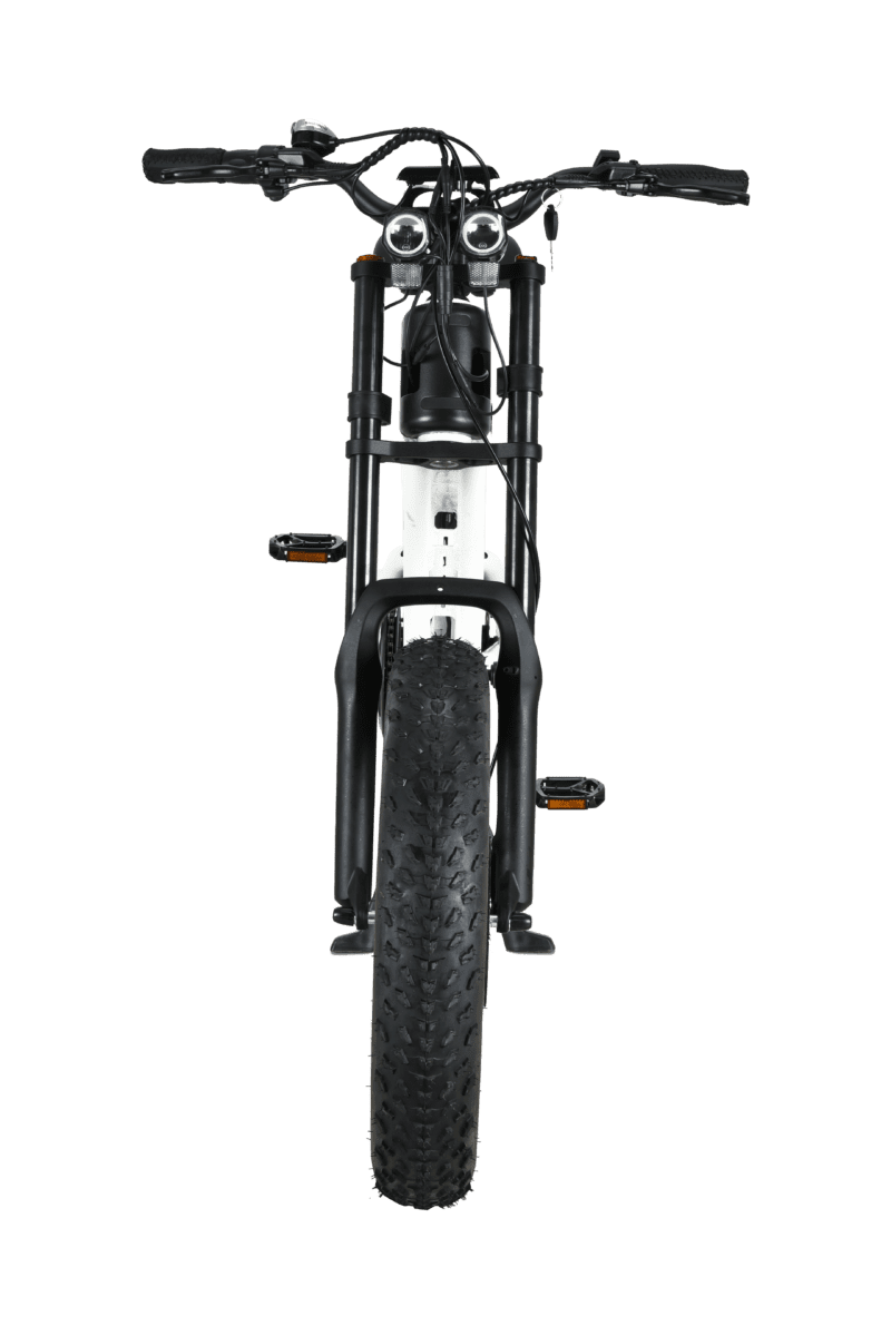T01 E-Bike 750Watt Shoppenvooriedereen