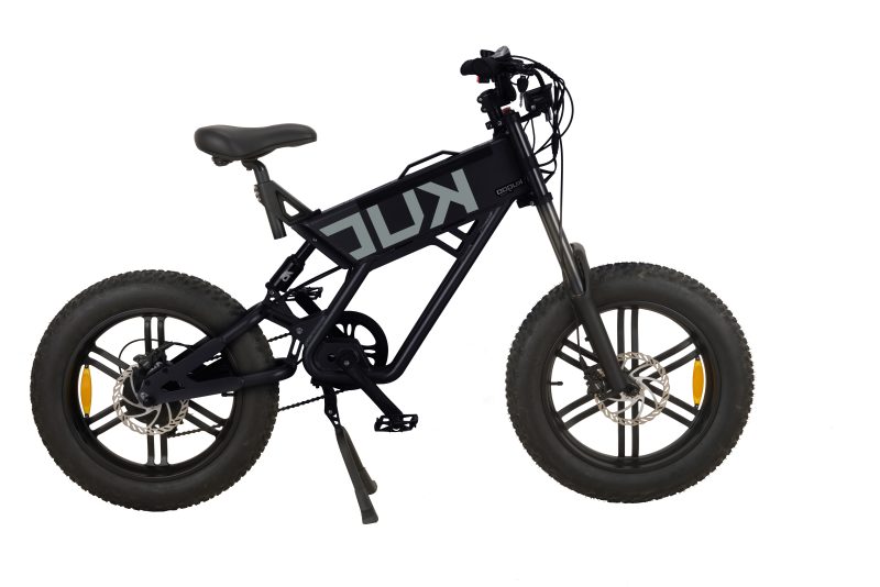 T01 E-Bike 750Watt Shoppenvooriedereen