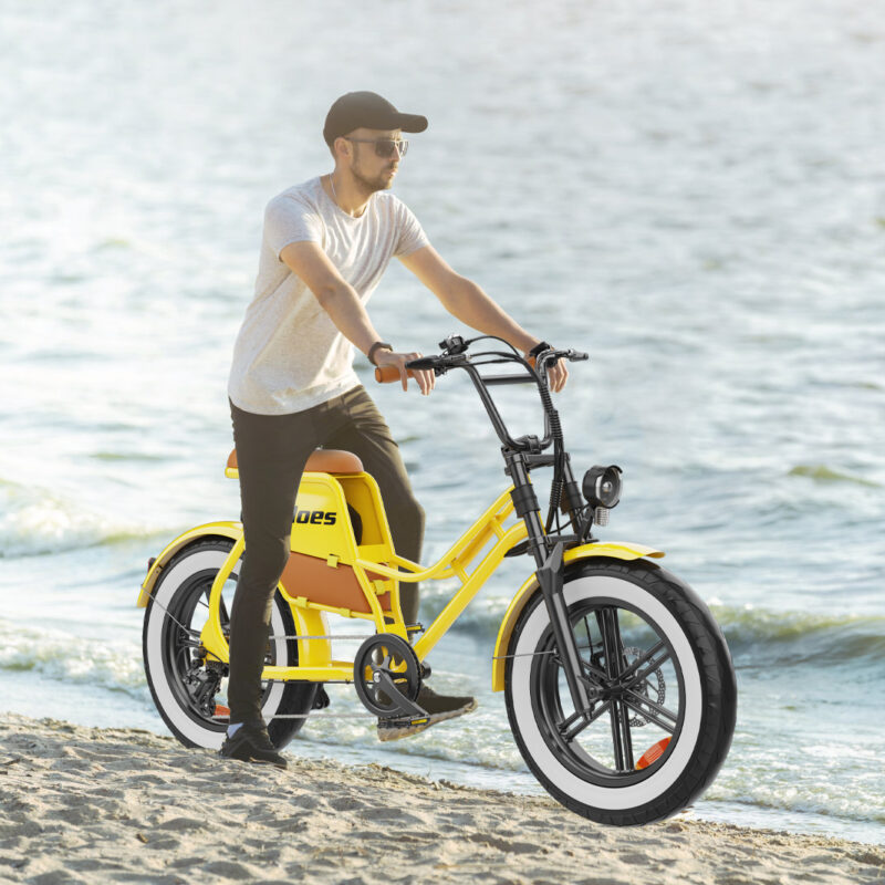 Hidoes C8 E-bike 250 watt motorvermogen topsnelheid 25km/u - Afbeelding 12