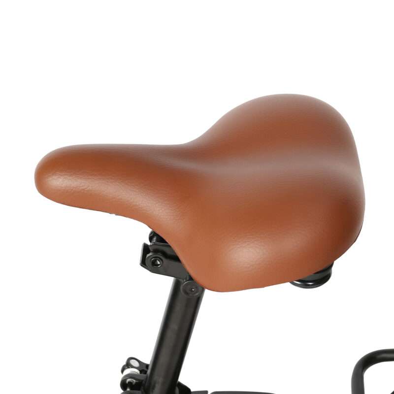 TDE10Z dames elektrische fiets - Afbeelding 19