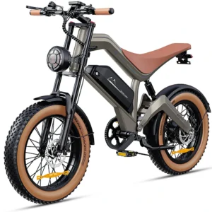 DYU M20 fatbike