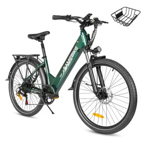 RS-A01 Pro elektrische fiets
