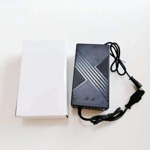 E-chopper snelle oplader 67.2V 5A