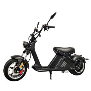 X19 Mangosteen M2 CityCoco E-chopper Mega sale