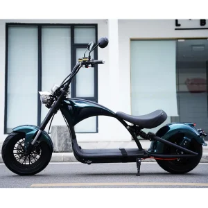 X13 Mangosteen M1P CityCoco E-chopper