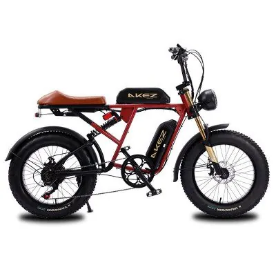S2 E-bike