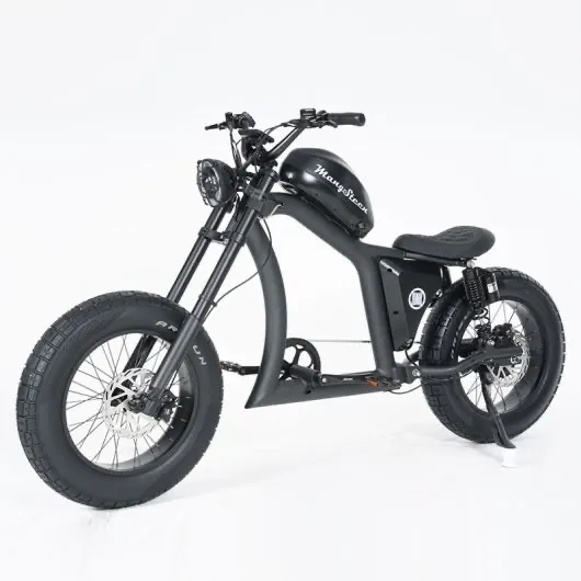 X1 E-bike chopper met kenteken